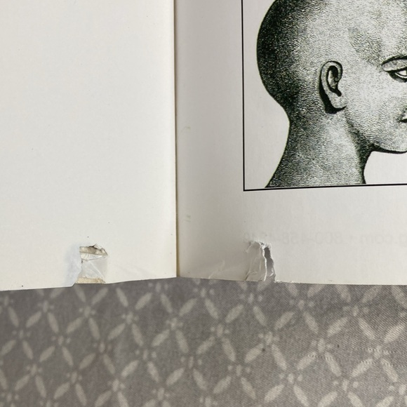 Language Smarts Level C Grade 2 - Picture 5 of 7